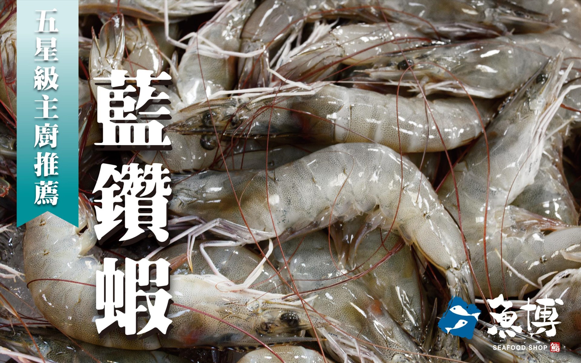 無產品圖片