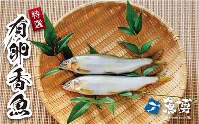 無產品圖片