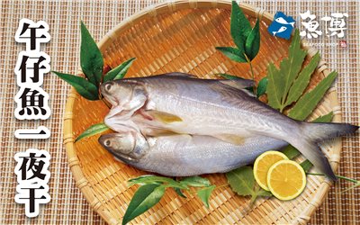 無產品圖片
